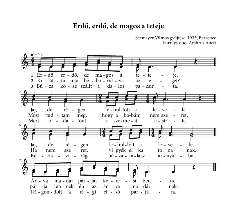 Erdő, erdő, de magos a teteje